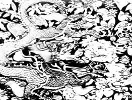 �����ʹ�����Ժ�����ΰٻ��������˿