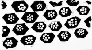 �½������������˱����걳�ư׵�����ӡ���޲�