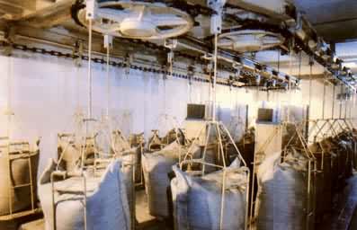 ��ʳ���䴦������