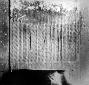 ���źͷ���1821��һ���Ƴɵ������դ