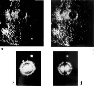 ͼ6 �����˲��ӵ�ͨ�˲�