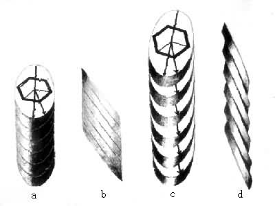 ͼ1 ���Ƶ�ľƬģ��