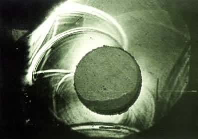 �����ݲ��ڿ�ǻ�ϵ�����