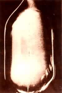 ���ڵ�������(���еľ����������ߦ���)