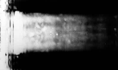 ͼ1 �ù�ѧ���۲⵽ѹ�羧�����������沨����