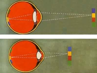 �����˾�״��ĵ�������