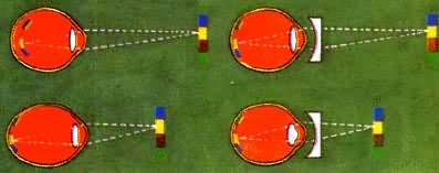 �����۵Ľ���