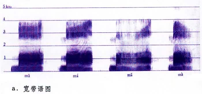 ���������ͼ