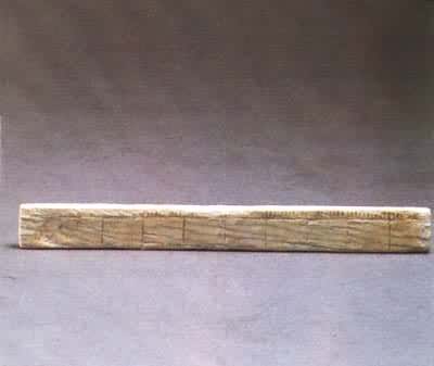 ����  �̴�����