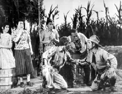 �������������Ժ�ݳ������������