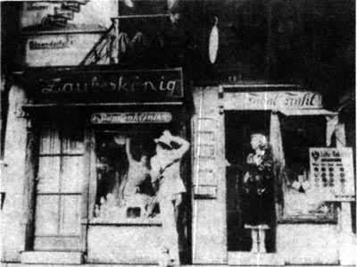 ��άҲ��ɭ�ֵĹ��¡�����