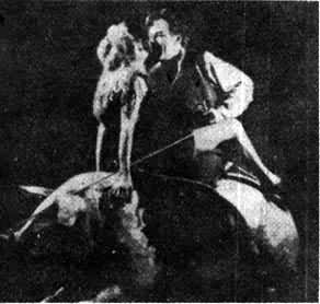 ���˶���Ӣ�ء�����