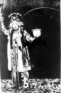 ����ơ������衷����