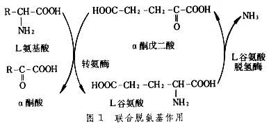 �����Ѱ�������