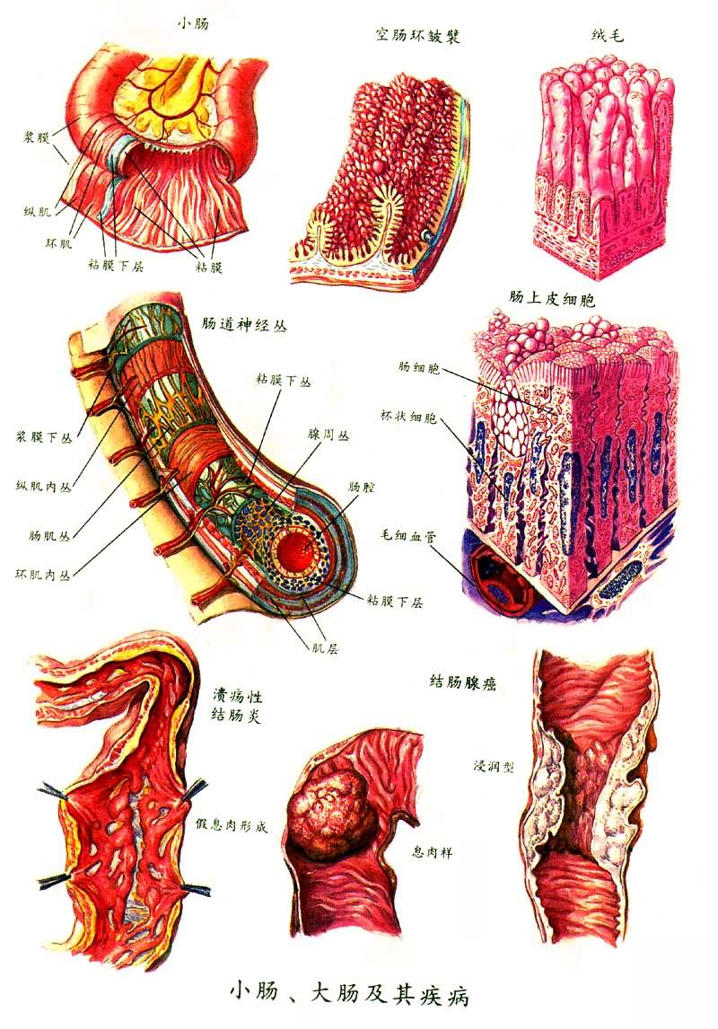 С�����󳦼��伲��