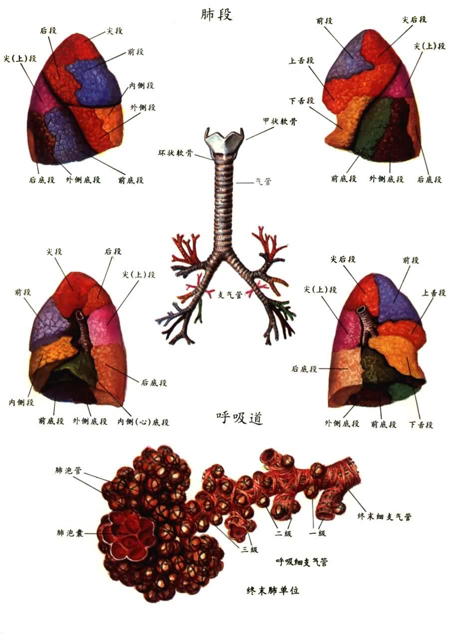 �ζκͺ�����