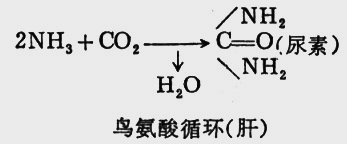 ��ʽ ����