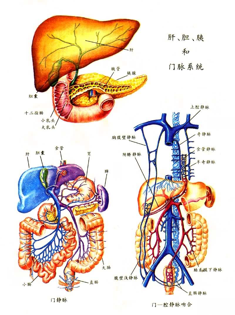 �Ρ������Ⱥ�����ϵͳ