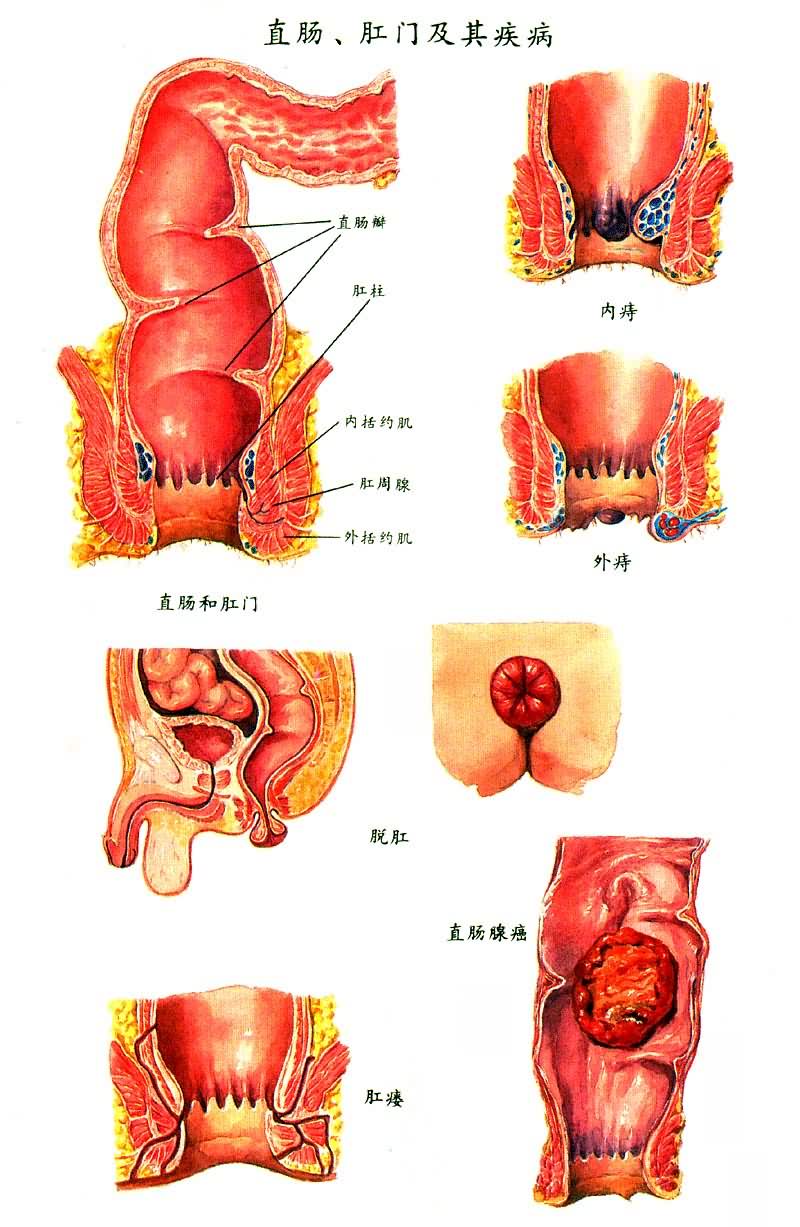 ֱ�������ż��伲��