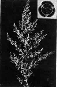 �����Ϊ���ۣ�