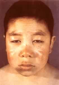 ��״�ٻ��ܼ���