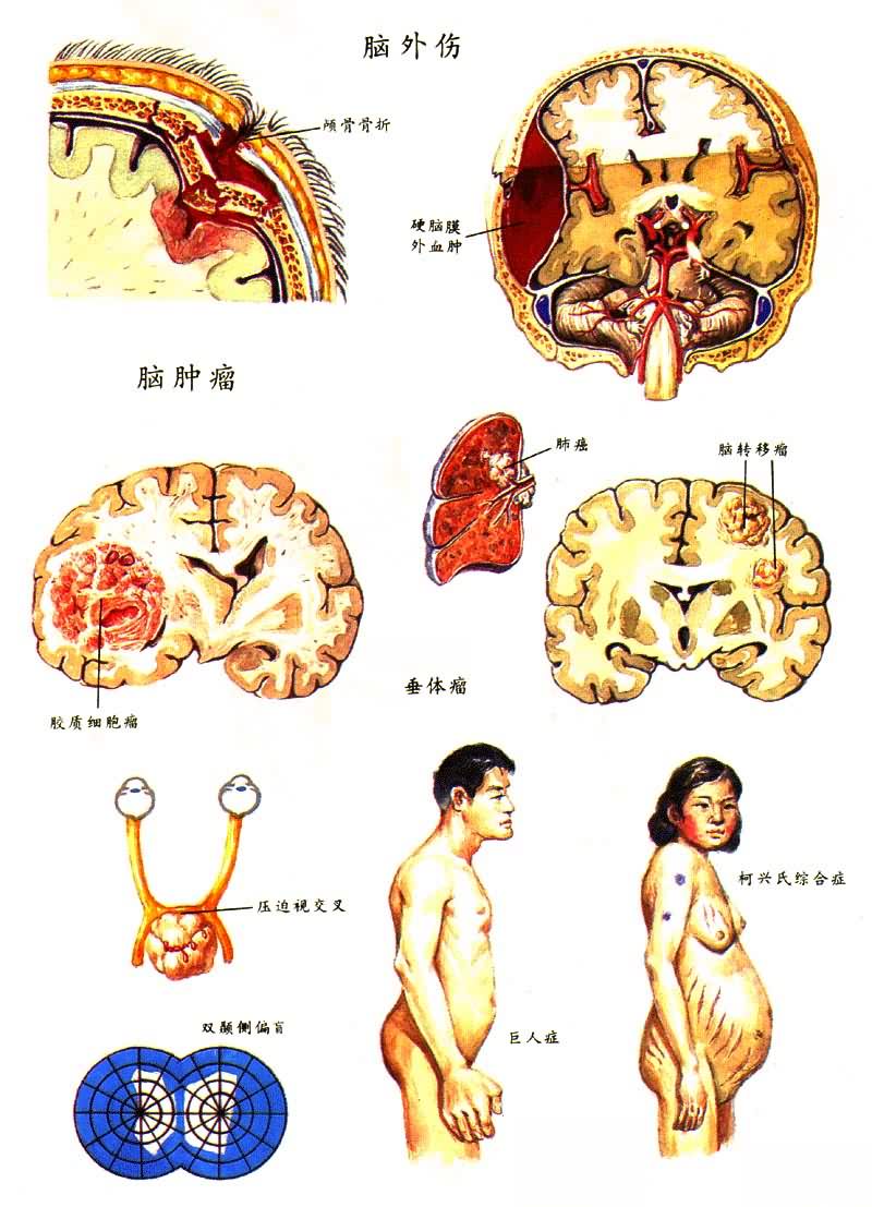 �����˺�������