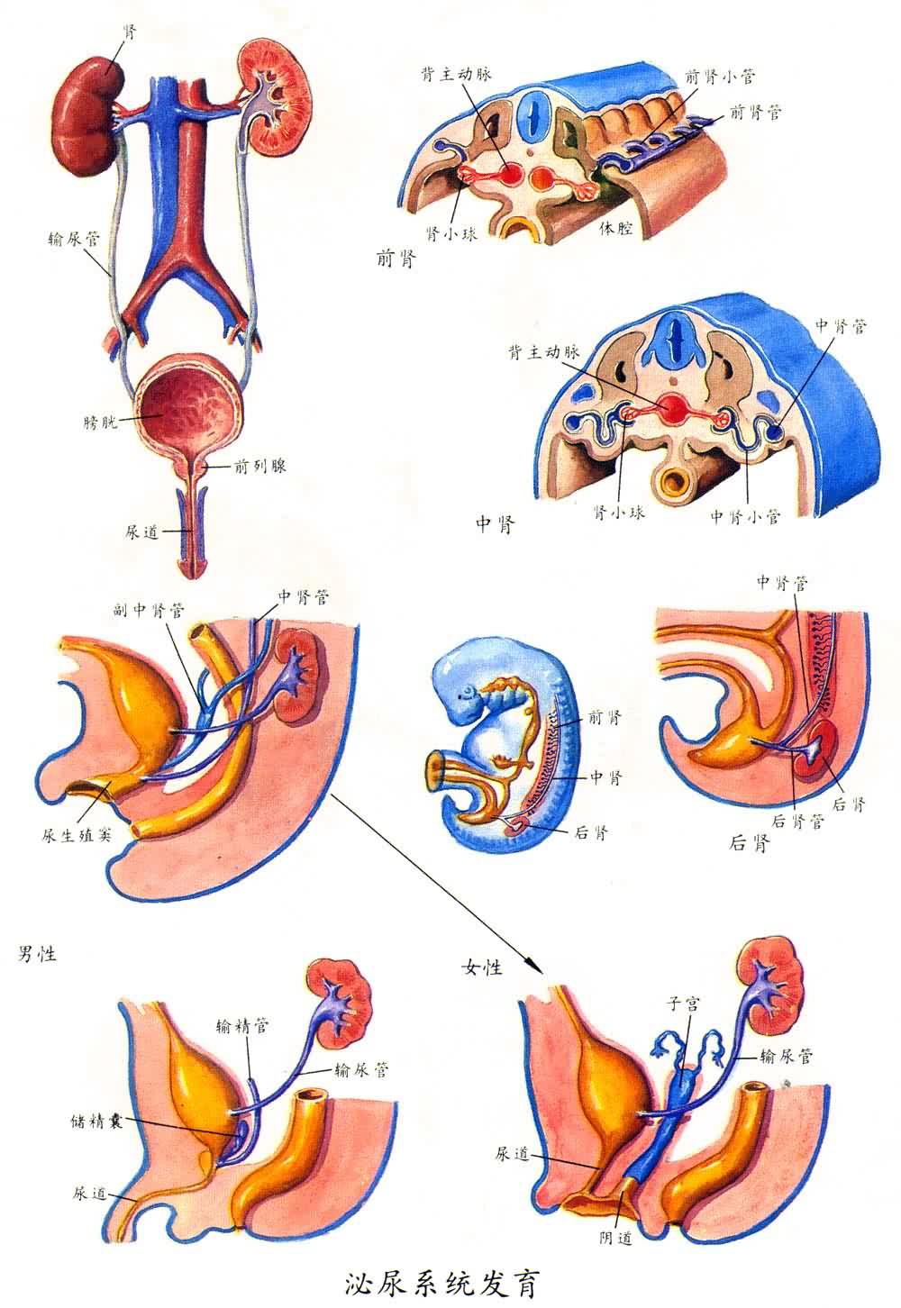 ����ϵͳ����