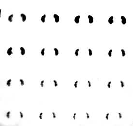 ����̬����