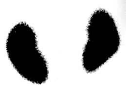 ��ʵ��Ӱ������������Ҳ��ϼ���һռλ�Բ��䣩