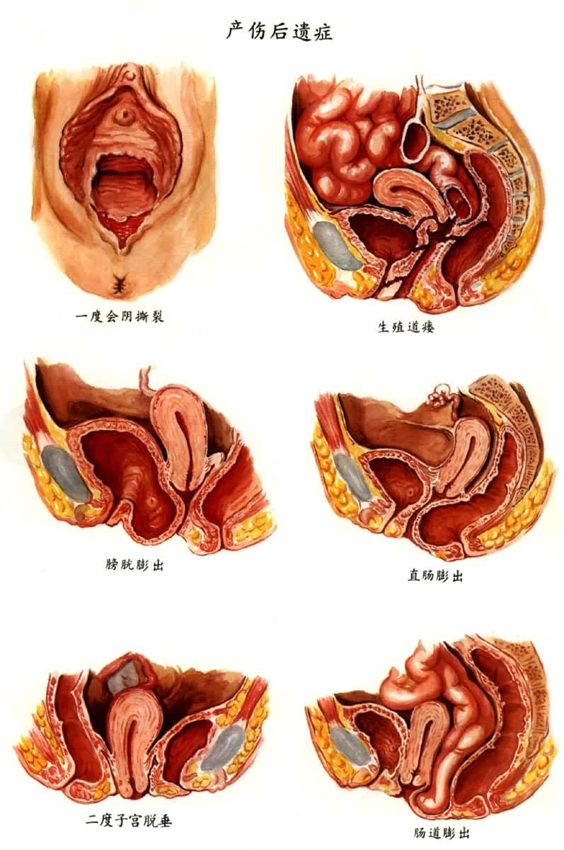 ���˺���֢