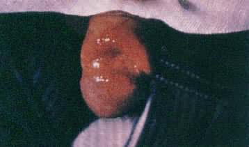 ÷��Ӳ����