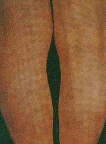 ����Զ�����Χ��