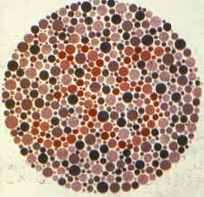 ɫä����ͼ��35��