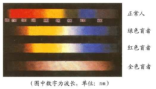 �����˺�ɫä����������