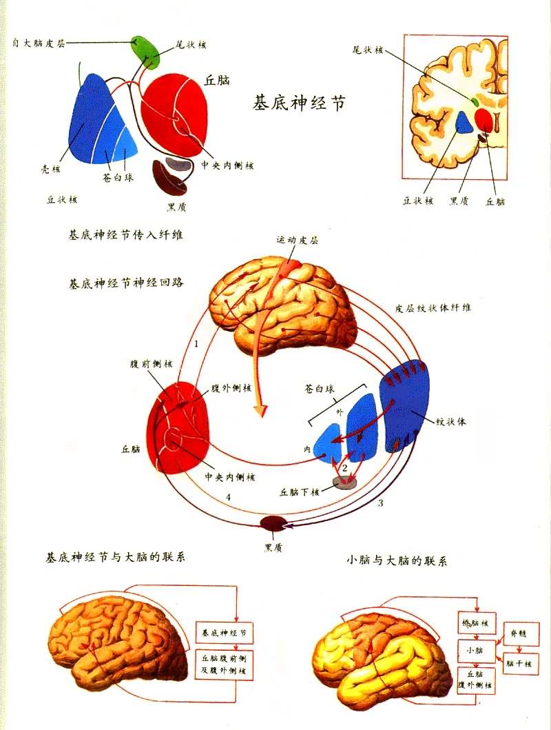 �����񾭽�