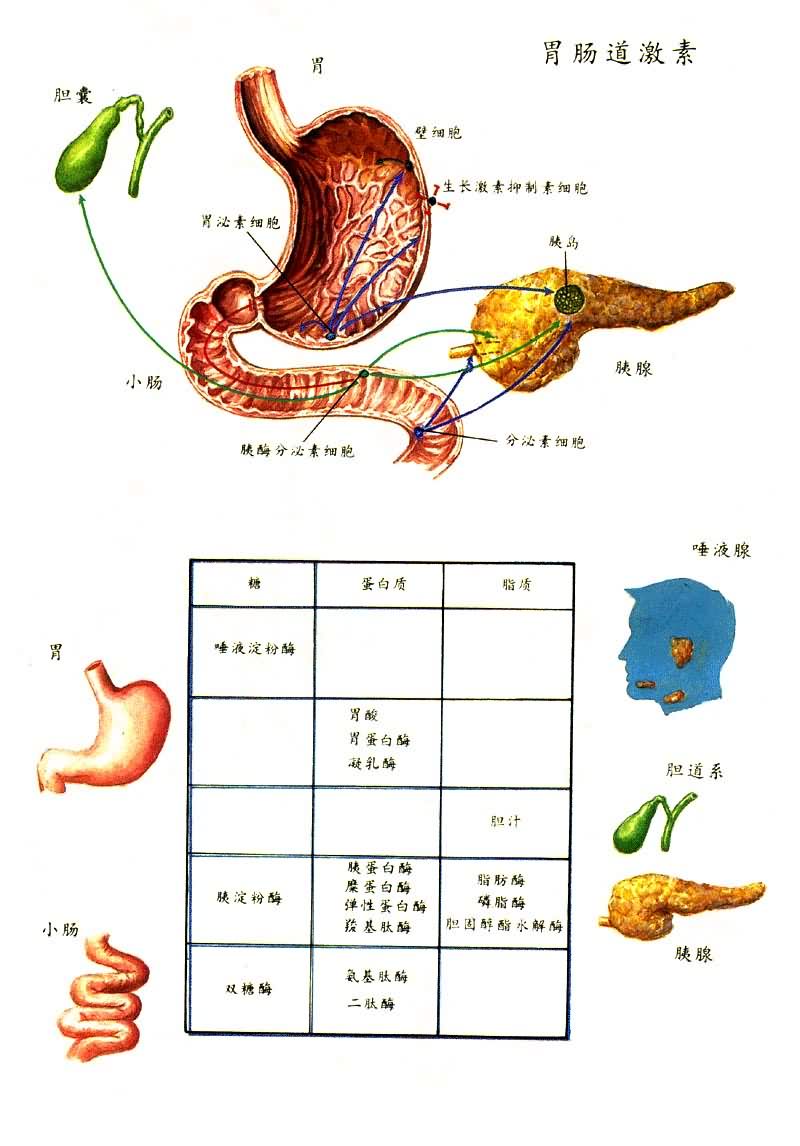 θ��������