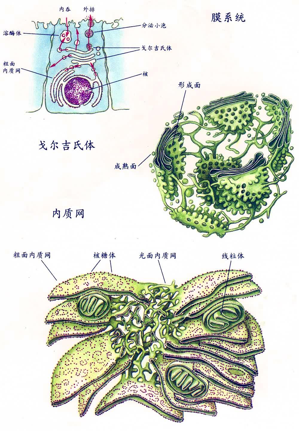 Ĥϵͳ������������������