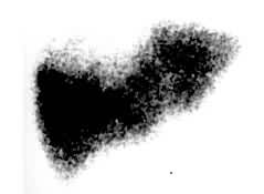 ͼ2������Ҷ�ϲ�ռλ����