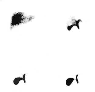 ͼ4�������ε�Ӱ��