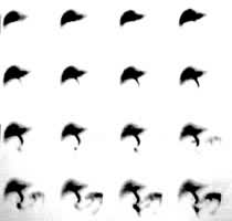 ͼ5�����Ե�����Ӱ��