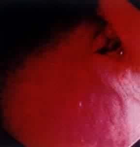 θ����θ����