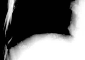 ����ƽƬʾ���Ҳ������������������Σ���ʾθ��������