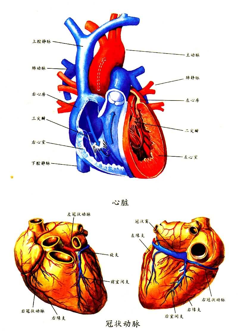 ����͹�״����