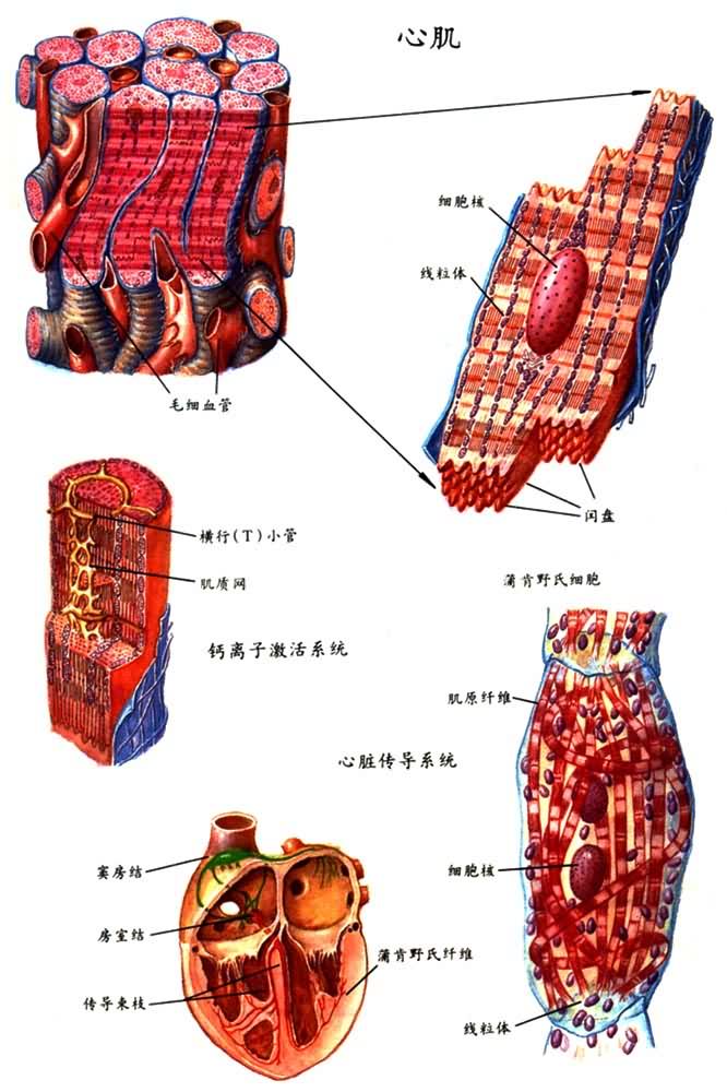 �ļ������ഫ��ϵͳ