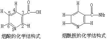 ��ʽ ����