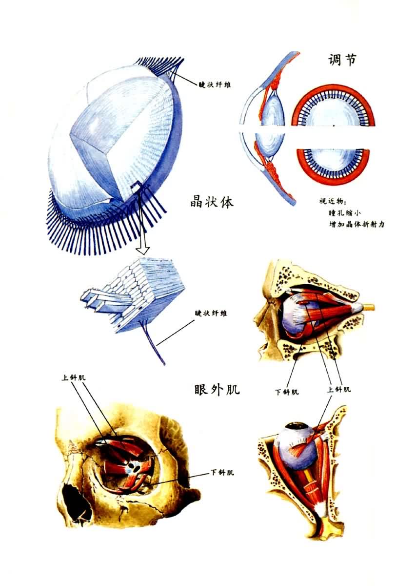 ��״�塢���ں����⼡