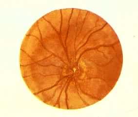 ����ͷˮ��