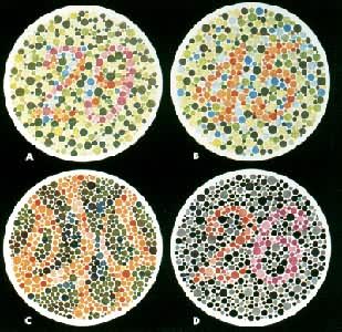 ɫä���ͼ��