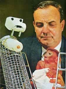 �׺��������ë�����ֵ����조ĸ�ס�