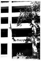 ��ʢ���ʱ���